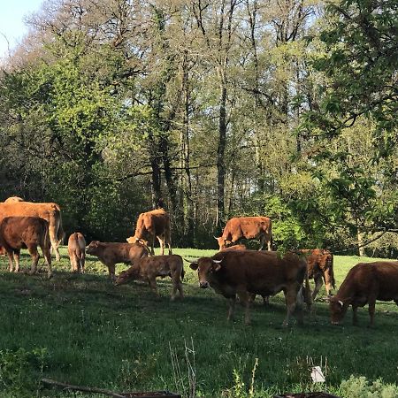 Les Ombrieres Bed & Breakfast Porcheresse Luaran gambar